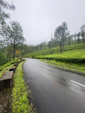 Valparai 'de sisli koşullarda yeşil çay tarlalarından geçen ıslak yol, Coimbatore bölgesinde bir tepe istasyonu, Tamil Nadu, Batı Ghat.