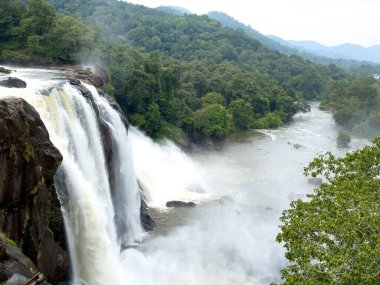 Thrissur bölgesindeki Athirappilly Şelalesi, Kerala, yoğun ormanda hızla yükseliyor..
