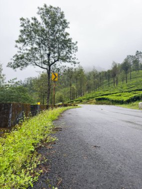 Valparai ghat yolu Coimbatore bölgesindeki sisli çay tarlalarından geçiyor, yemyeşil ve dağ manzaralı Tamil Nadu..