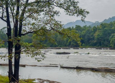 Chalakudy Nehri 'nin manzaralı akışı Thrissur bölgesindeki ünlü Athirappilly Şelalesi yakınlarında, Kerala, Hindistan.