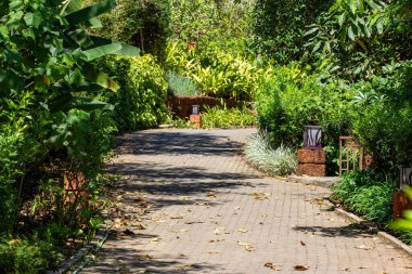 Kodagu 'daki bir tatil köyünde yemyeşil bir arazide dolan huzurlu bir taş yol. Coorg 'un Hindistan, Karnataka' daki tatil beldelerinin dingin cazibesi..