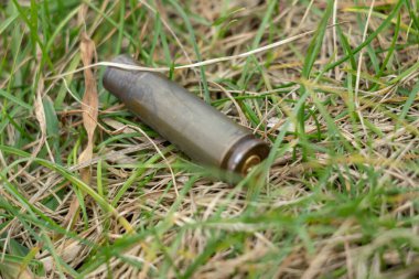 Kovanlardan otomatik silahlara kadar evin yakınındaki çimlerin üzerinde duran kovanlar, suç izleri, kanıtlar. Kriminal soruşturma kavramı