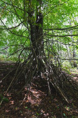 Astım hastaları için birçok mavi astım spreyi, gülen surat şeklinde yerleştirilmiş. Gülen surat. Hastaların yaşamına yardımcı olmak için hastalığın tedavisi