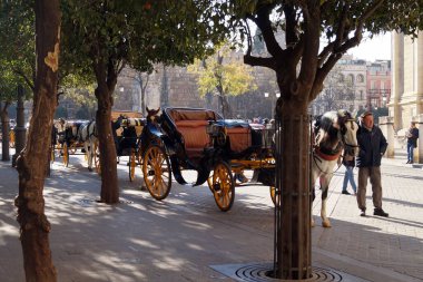 5 Ocak 2019 Sevilla, İspanya 'da eski bir kasabada bir at arabası.