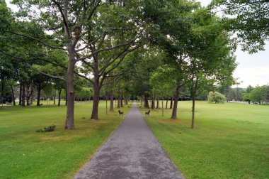 Merkez sokak, banklarla kaplı, Capitol Park, Augusta, ME, USA - 26 Temmuz 2020