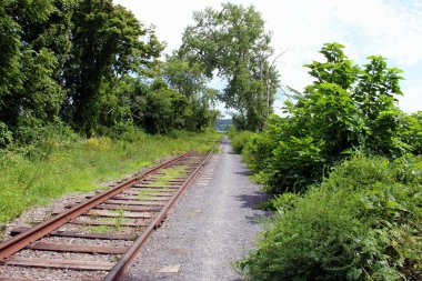 Hudson Nehri 'nin batı kıyısındaki Kingston Point Demiryolu Ormanı' ndaki raylar, Kingston, New York, ABD: 15 Ağustos 2020