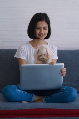 Asyalı genç kadınlar evde dizüstü bilgisayarla çalışırken küçük köpekle oynuyorlar.