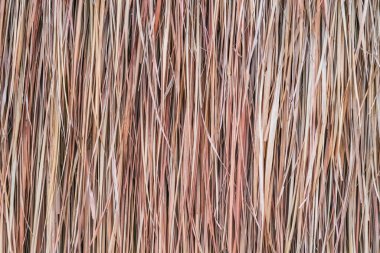 Thatched çatı veya duvarın geleneksel çatı arkaplanı ve dokusu.