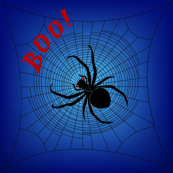 Araignée sur toile d'araignée — Image vectorielle