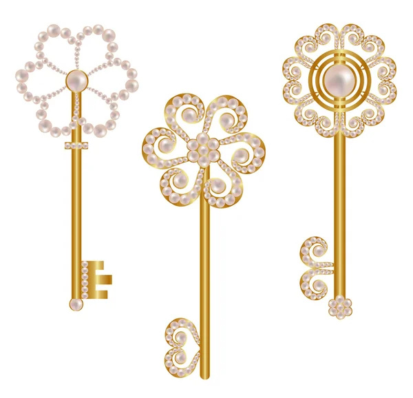Antigue door key set in golden metallic design with historic ornamental ...