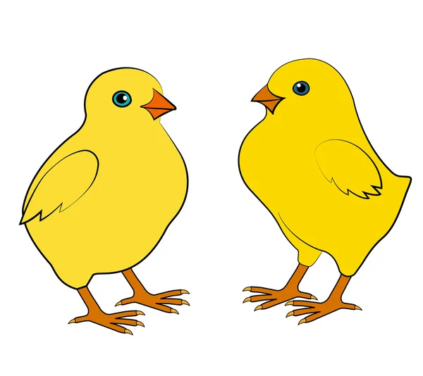 Two small chicken — Stock Vector