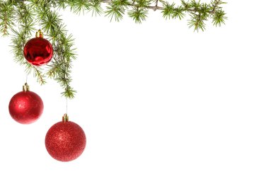 Kırmızı süsbitkileri ve yeşil fi harika Noel dekorasyon