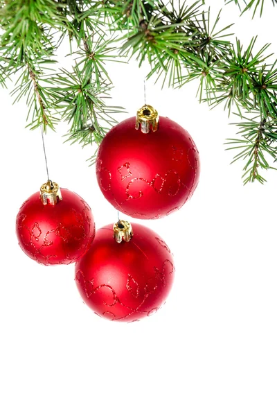Christmas decoration with green pine or fir and red roud ball or — Stock Photo, Image