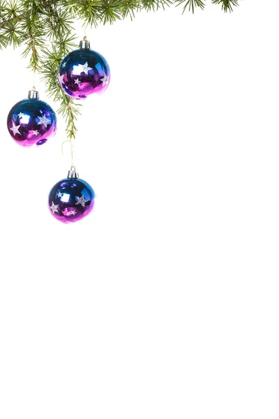 Decoration with pine or fir and blue purple ornaments balls — Stock Photo, Image