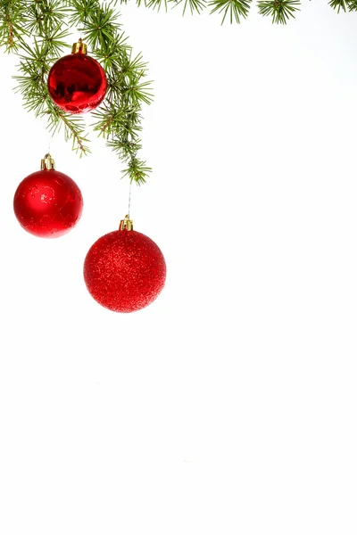 Decoratie met pijnbomen of Spar en rode ornamenten ballen — Stockfoto