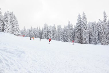 Dağ iz geliyor kayakçı kırmızı ceket içinde hareket