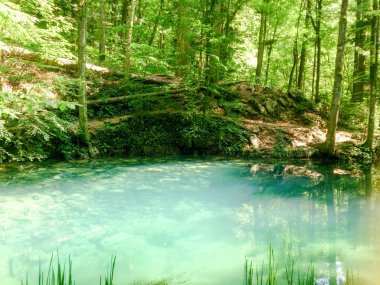 Dağlar, doğa manzara ağaçlar ve nehir orman Nehri