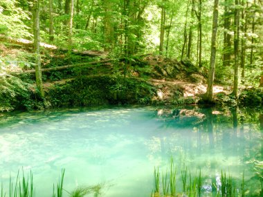 Dağlar, doğa manzara ağaçlar ve nehir orman Nehri