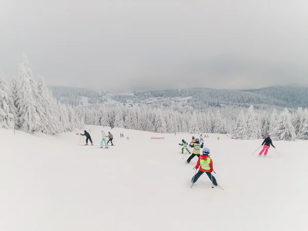 Barn och några vuxna på skida — Stockfoto