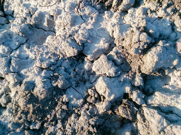 Kuru, kırık dünya dokusuna kadar sürülmüş — Stok fotoğraf