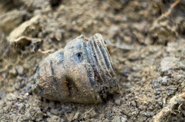 Savaşın yankıları Ormanda toprağın altında