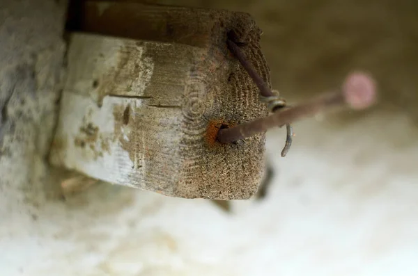 Foto van roestige nagels in houten plank — Stockfoto
