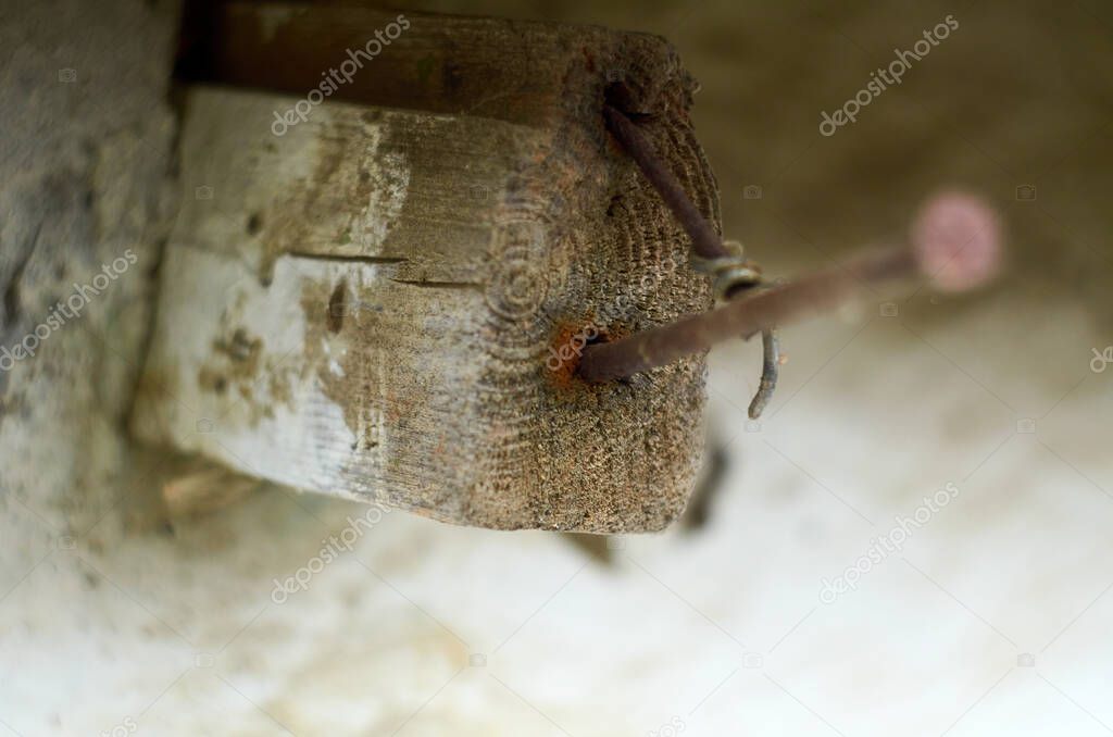 Photo of rusty nails in wooden plank