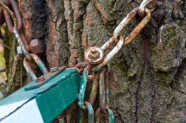 Ormandaki bariyer zincirle ağaca bağlanmış.