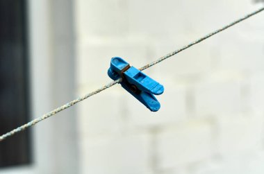 Naylon ipte mavi mandallı fotoğraf. Yaklaş.