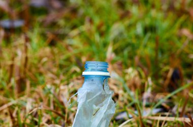Çimenlerde buruşmuş plastik şişe. Kapatın.