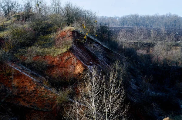 Cava Sabbia Ricoperta Alberi Campagna — Foto Stock