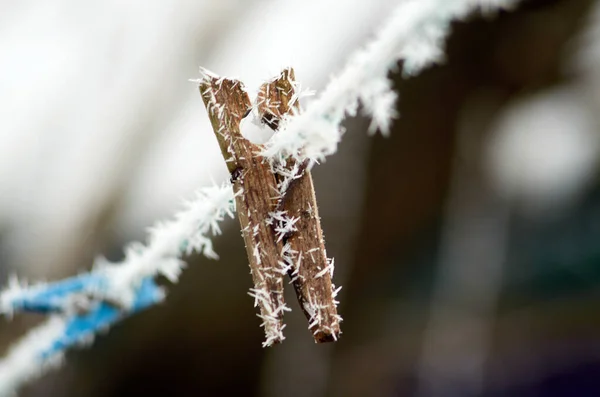 Waspin Bedekt Met Sneeuw Wazig Achtergrond — Stockfoto