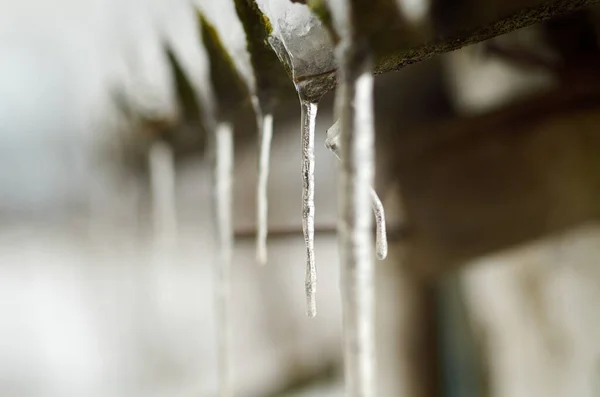 Rampouchy Visící Střechy Lednu — Stock fotografie
