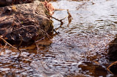 Mart ayında küçük bir nehirde su akar.