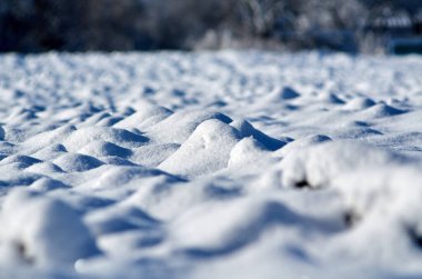Mart ayında gece beklenmedik bir şekilde kar yağdı.