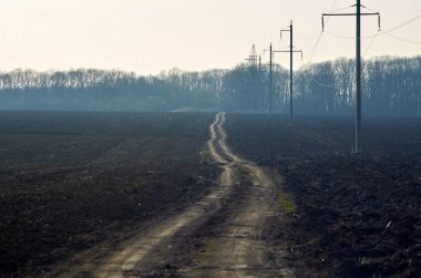 Ukrayna kırsal arazisi, kırsal yol tarlaların arasında yer alıyor