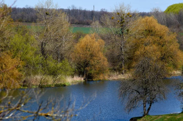 Foto Van Het Koude Voorjaar Landschap April — Stockfoto