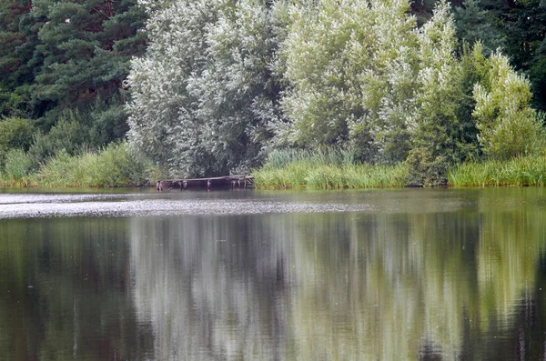 Other Side Pond August — Stock Photo, Image