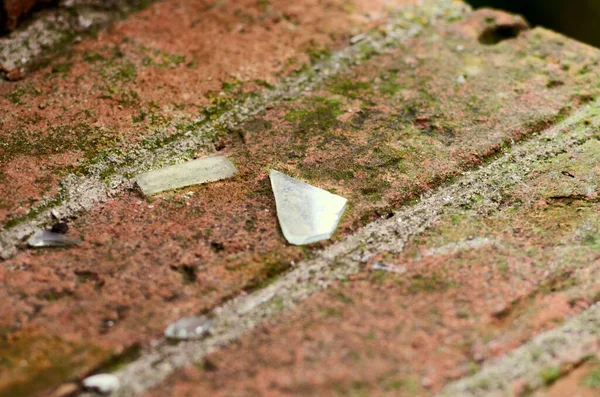 Glasscherben Auf Einem Gemauerten Fensterbrett — Stockfoto