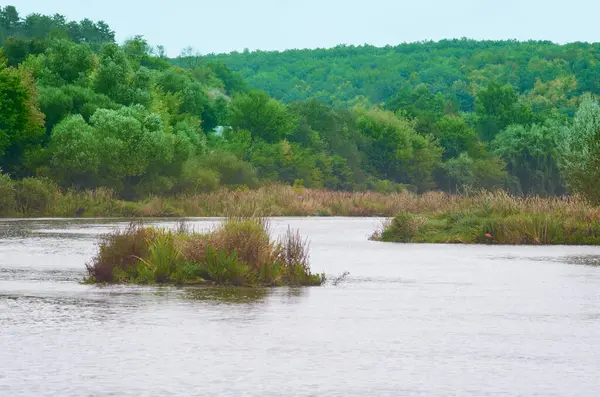 Het Europese Zomerrivierlandschap Regio Vinnytsia — Stockfoto