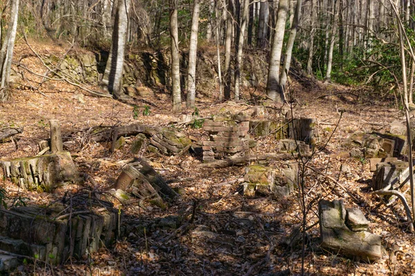 Kahverengi Yapraklı Ormandaki Eski Bir Evin Kalıntılarının Manzarası — Stok fotoğraf