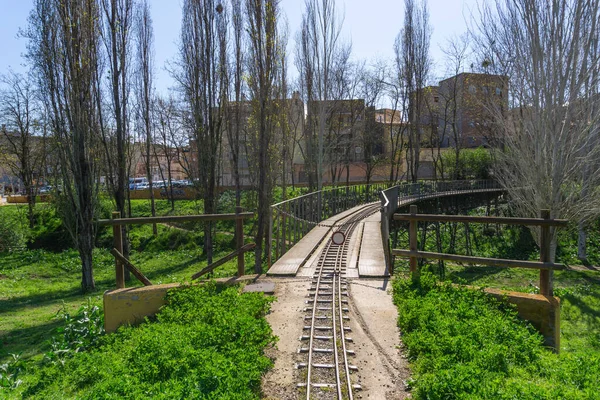 Барселона Испания Марта 2021 Имидж Железного Моста Поезда Парка Каталония — стоковое фото