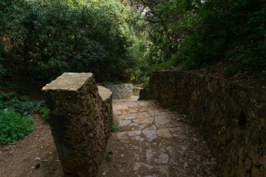 CAMI DE RONDA 'nın COSTA BRAVA' daki bitki örtüsü arasındaki duvar ve merdivenlerin görüntüsü