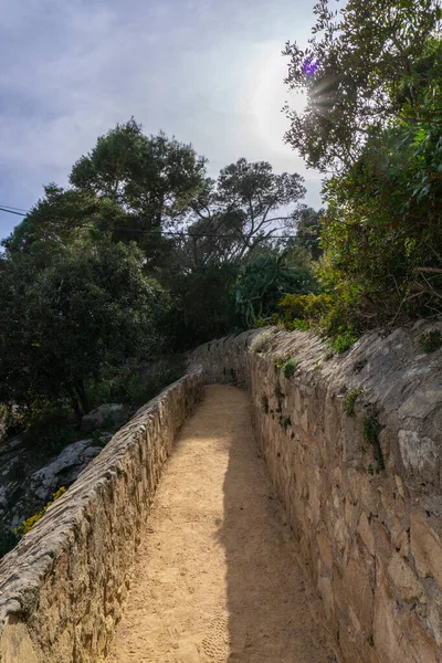 Άποψη Χωματόδρομου Πέτρινο Τοίχο Ανάμεσα Στο Δάσος Στην Κόστα Μπράβα — Φωτογραφία Αρχείου