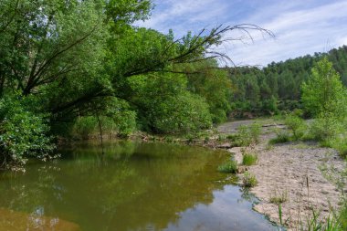 Landscape in the nature of the stone river bank
