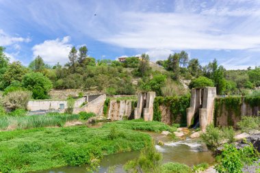 Bitkiler arasında beton bir baraj manzarası