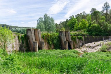Bitkiler arasında beton bir baraj manzarası