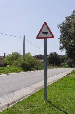 Tarlalar arasındaki yolda inekler için kırmızı ve beyaz trafik işareti