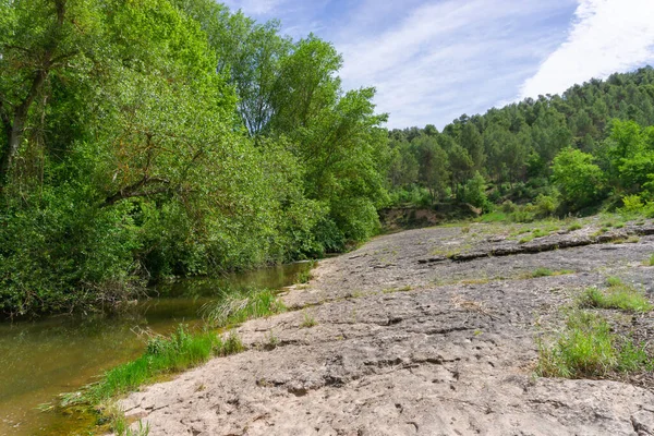 Landscape Nature Stone River Bank — Stock Fotó