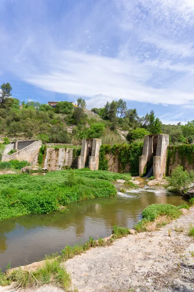 Landschap Van Een Betonnen Dam Tussen Vegetatie — Stockfoto